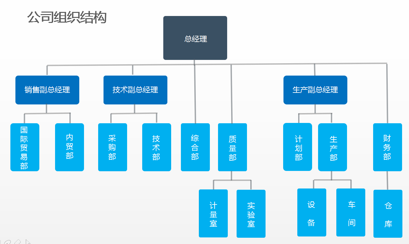 双正回转支承公司组织机构